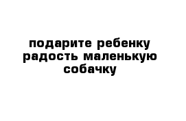 подарите ребенку радость маленькую собачку 